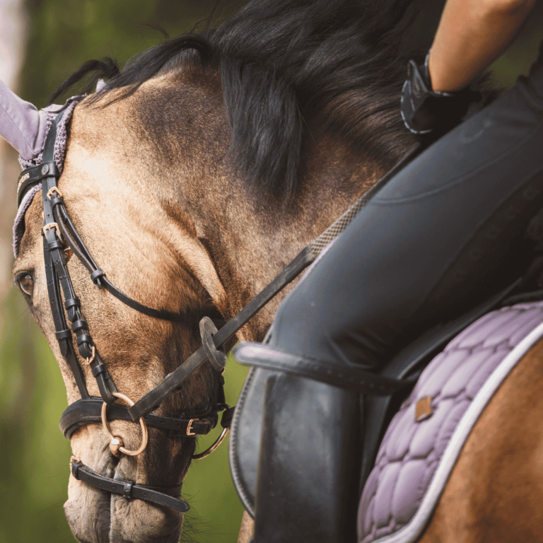 Is Horseback Riding the Hardest Sport?