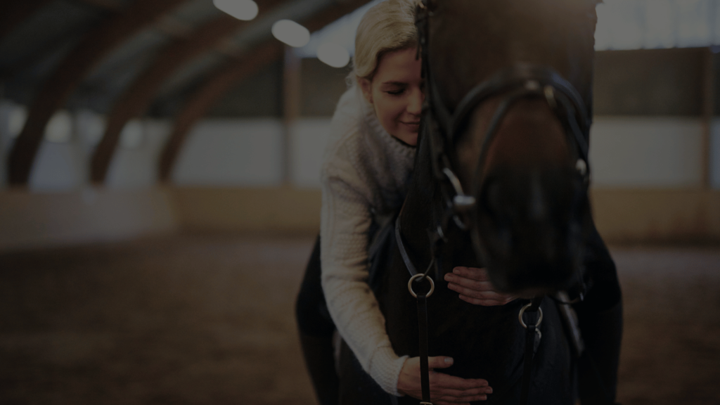 horse riding, The Ultimate Pack for Horse Lovers