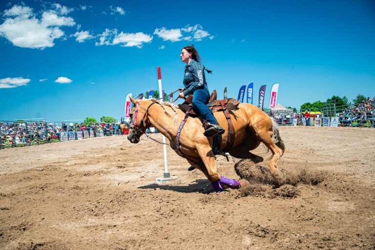 Rainbow Beach Horse Riding: A Unique Equestrian Experience